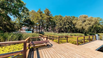 Un paseo marítimo de madera sobre un estanque con nenúfares, rodeado de árboles y edificios al fondo.