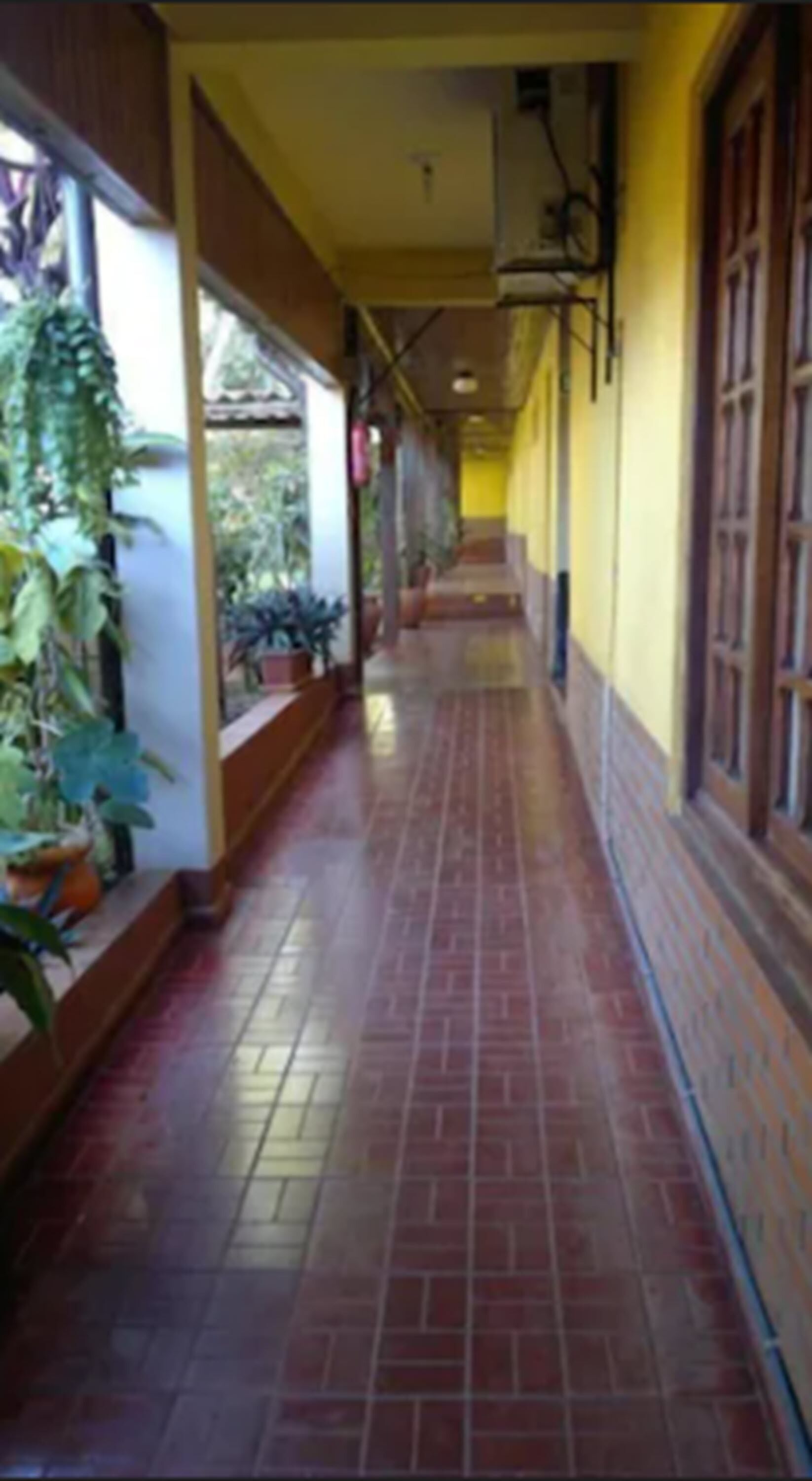 Foto - Hosteria Los Helechos