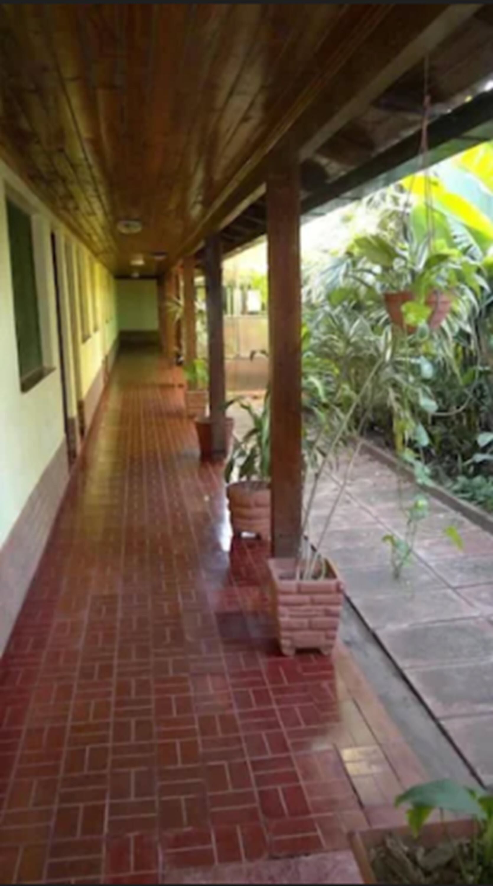 Foto - Hosteria Los Helechos