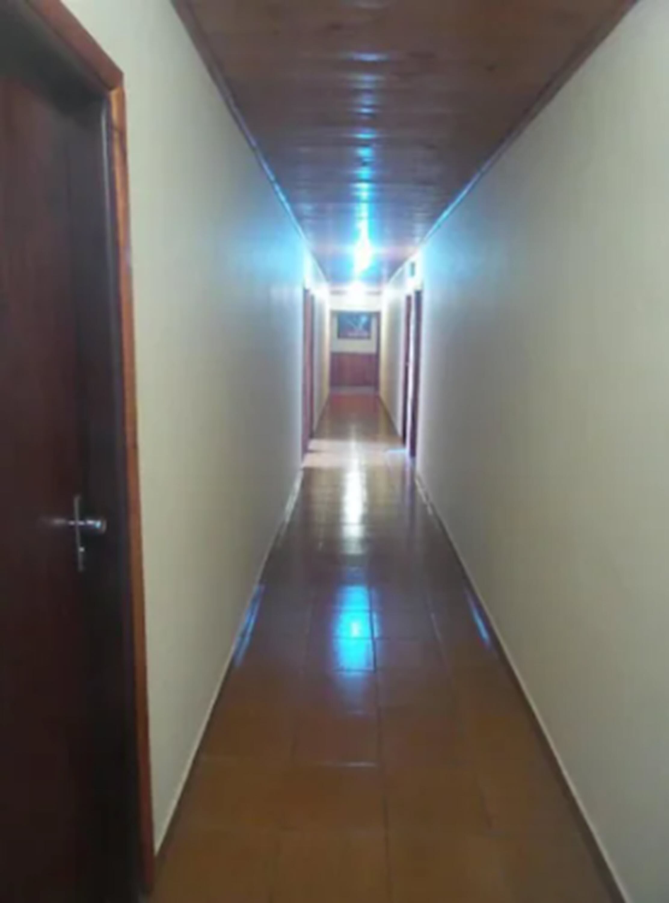 Foto - Hosteria Los Helechos