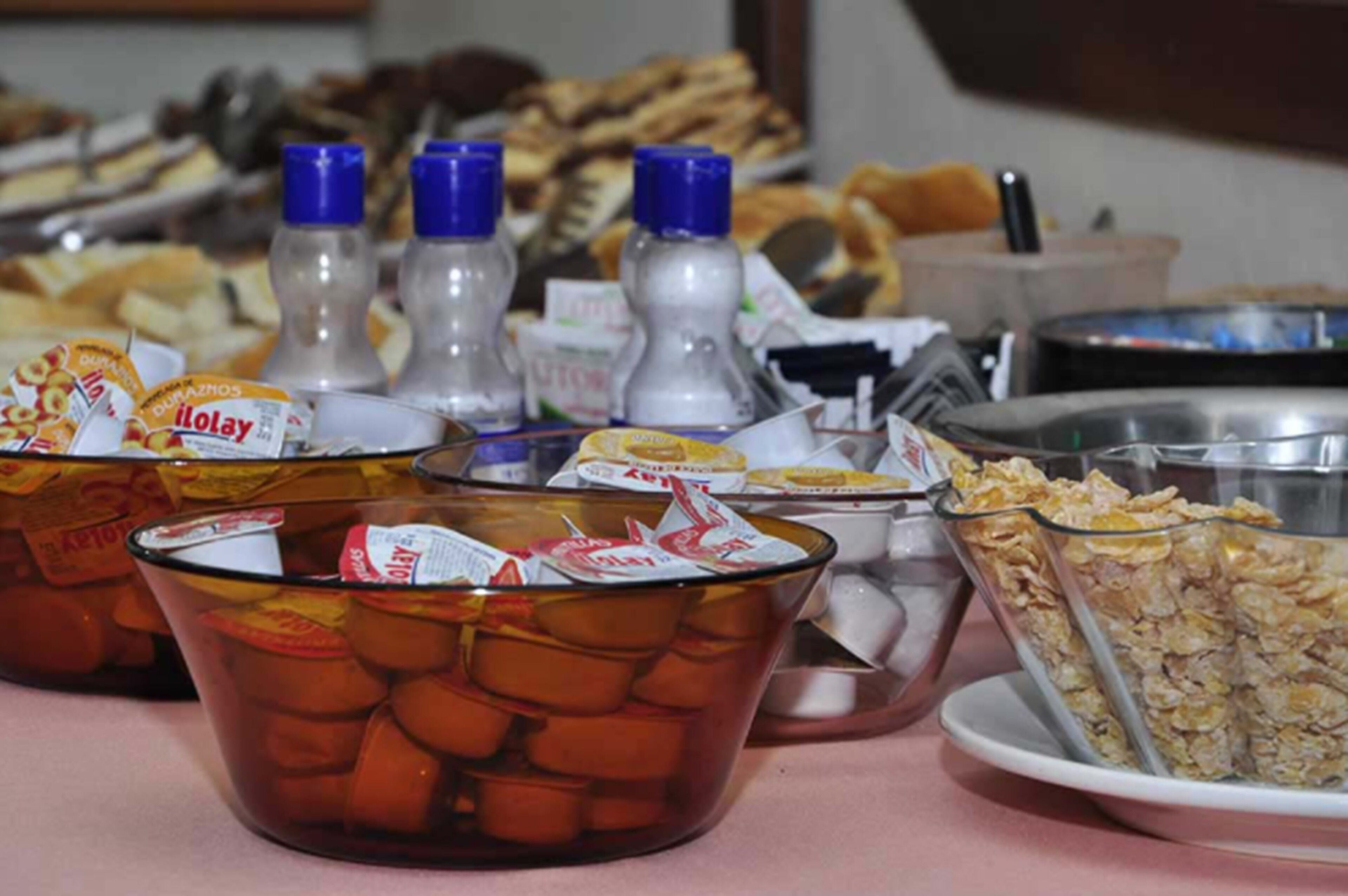 Foto - Hosteria Los Helechos