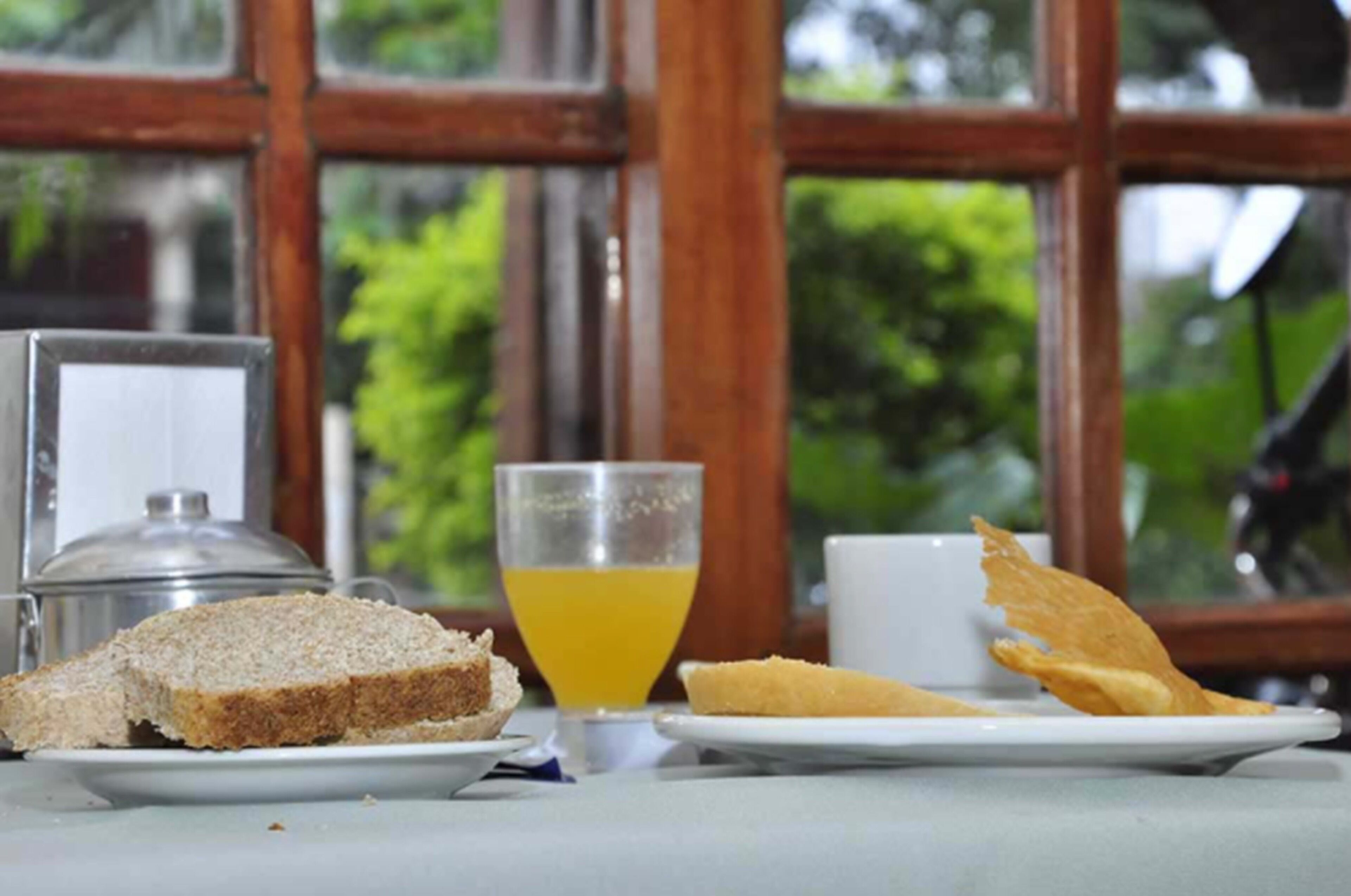 Foto - Hosteria Los Helechos