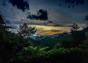 Land view from property