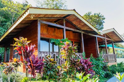 荷里科尼亚小屋旅馆