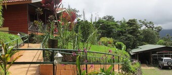 Heliconias Lodge and Rainforest