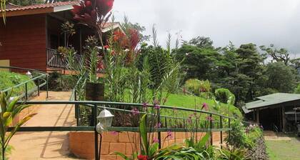 Heliconias Lodge and Rainforest
