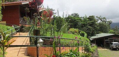 Heliconias Lodge and Rainforest