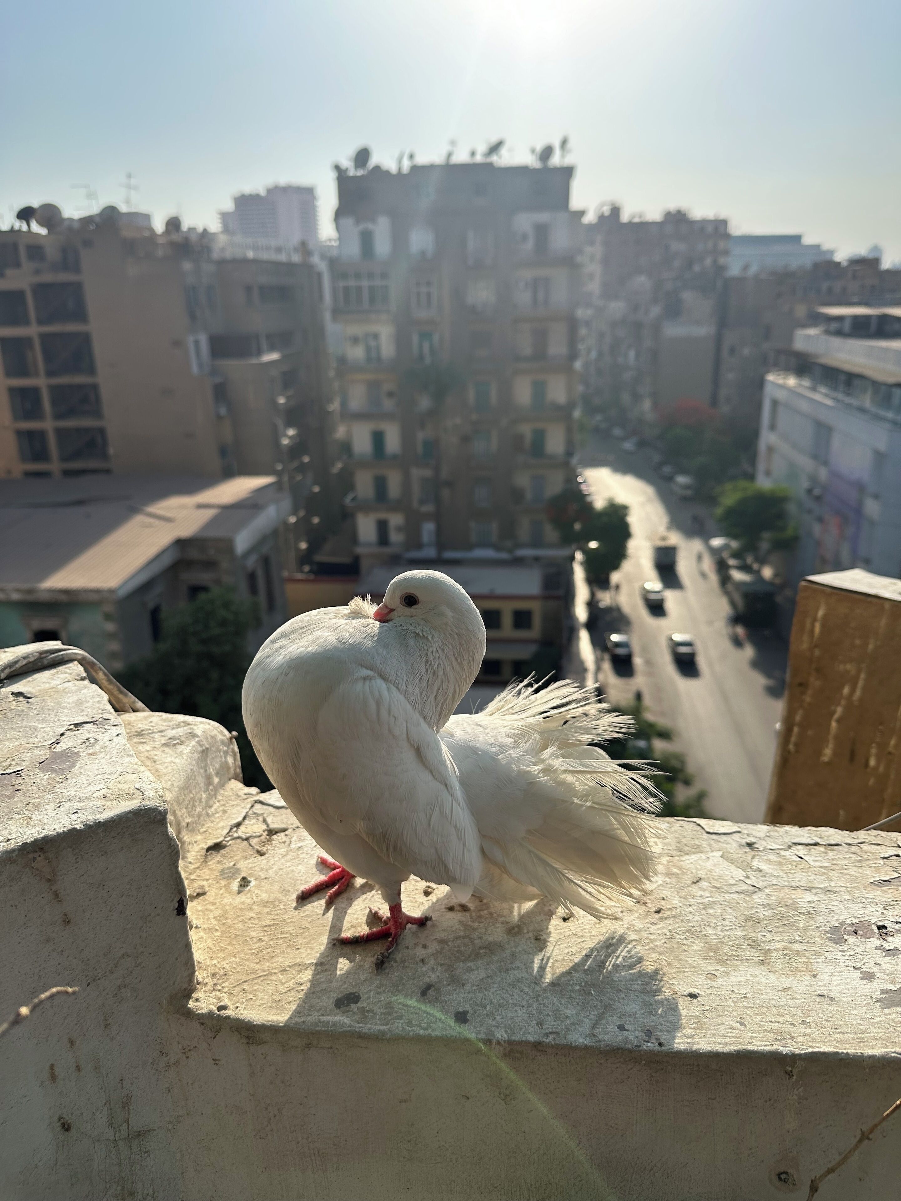 Foto - Cecilia Hostel