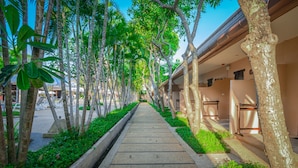A pathway lined with trees and a building with a flat roof.