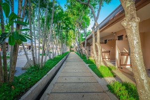 Jardín