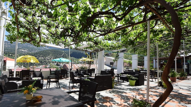 An outdoor patio with tables and chairs, umbrellas, and potted plants.