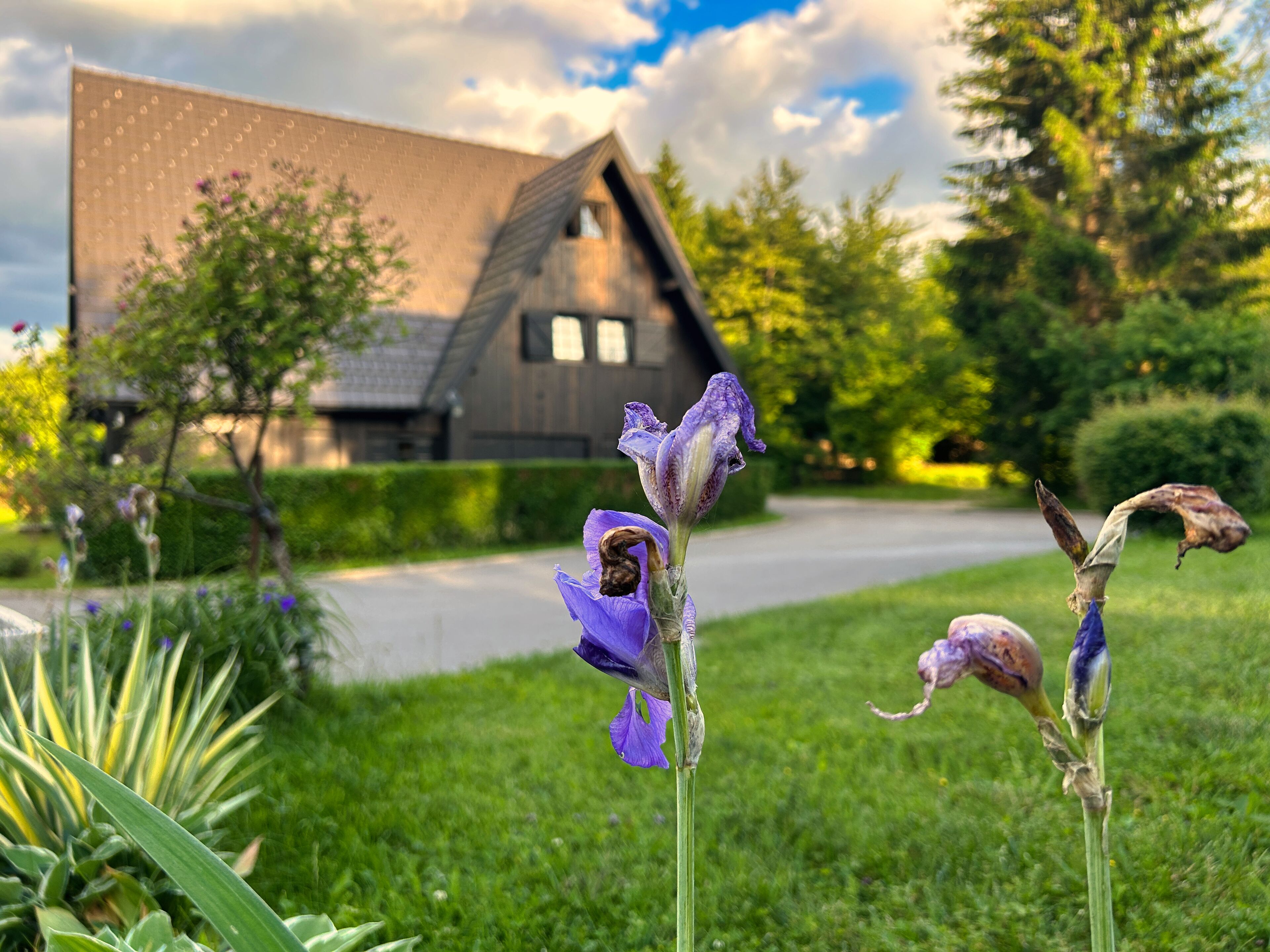 Vista desde la habitación