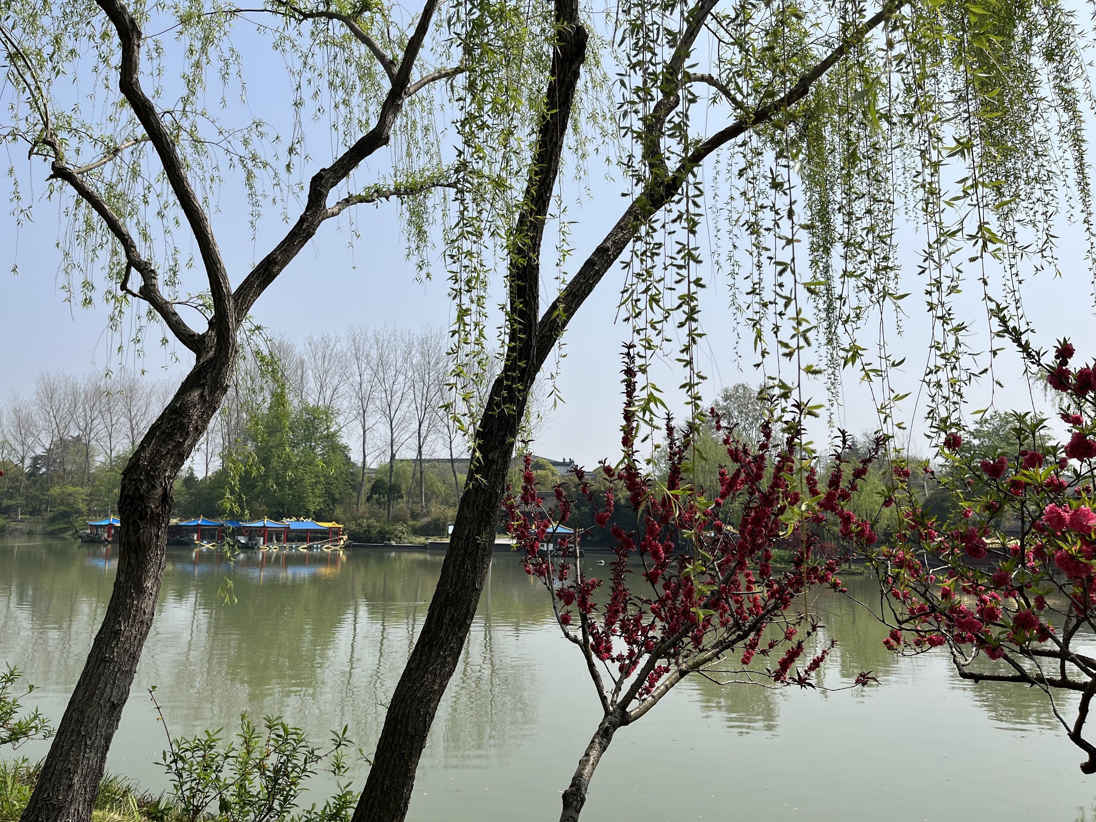 A serene lakeside view with trees and a distant pavilion.