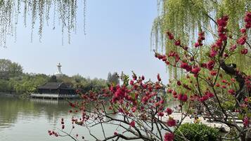 Una vista serena de un lago con arquitectura tradicional, que incluye una pagoda y un pabellón.