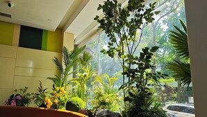 Une pièce avec un canapé, de grandes fenêtres et diverses plantes d’intérieur.
