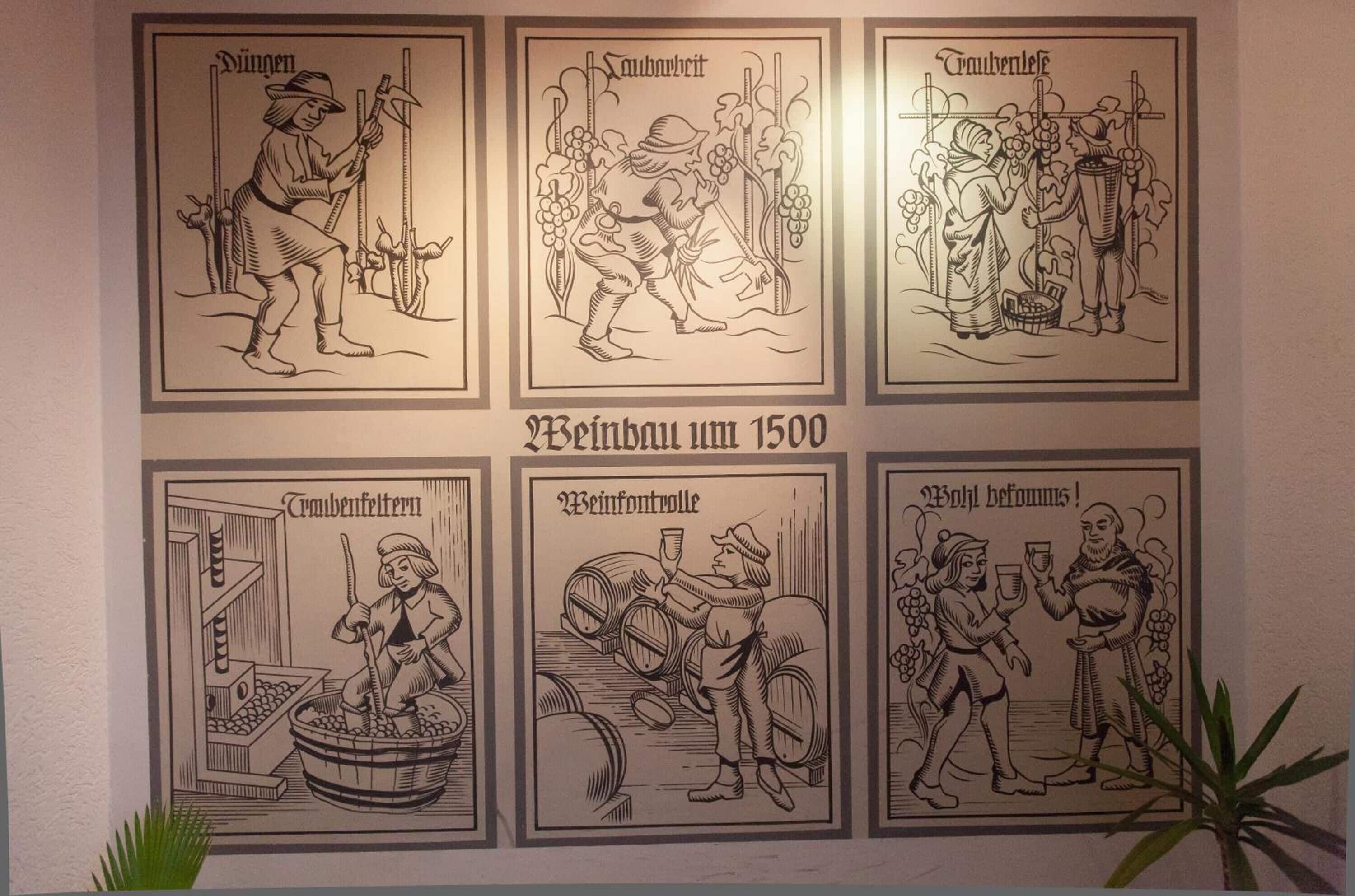Six framed historical illustrations depicting various aspects of winemaking from 1500.