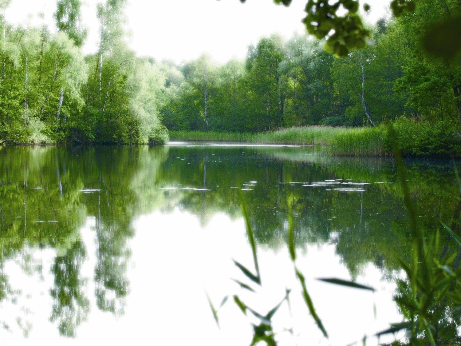 Foto - Hotel-Restaurant Alter Krug Kallinchen