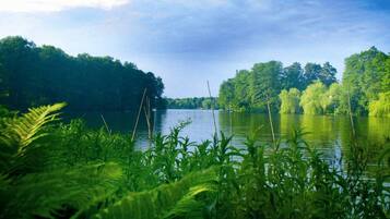 A serene lake surrounded by lush greenery and trees.
