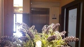 Un pasillo con una planta al frente, un ascensor y una puerta con un cartel.