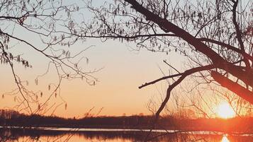 A serene lakeside view with a sunset, calm water, and bare trees.