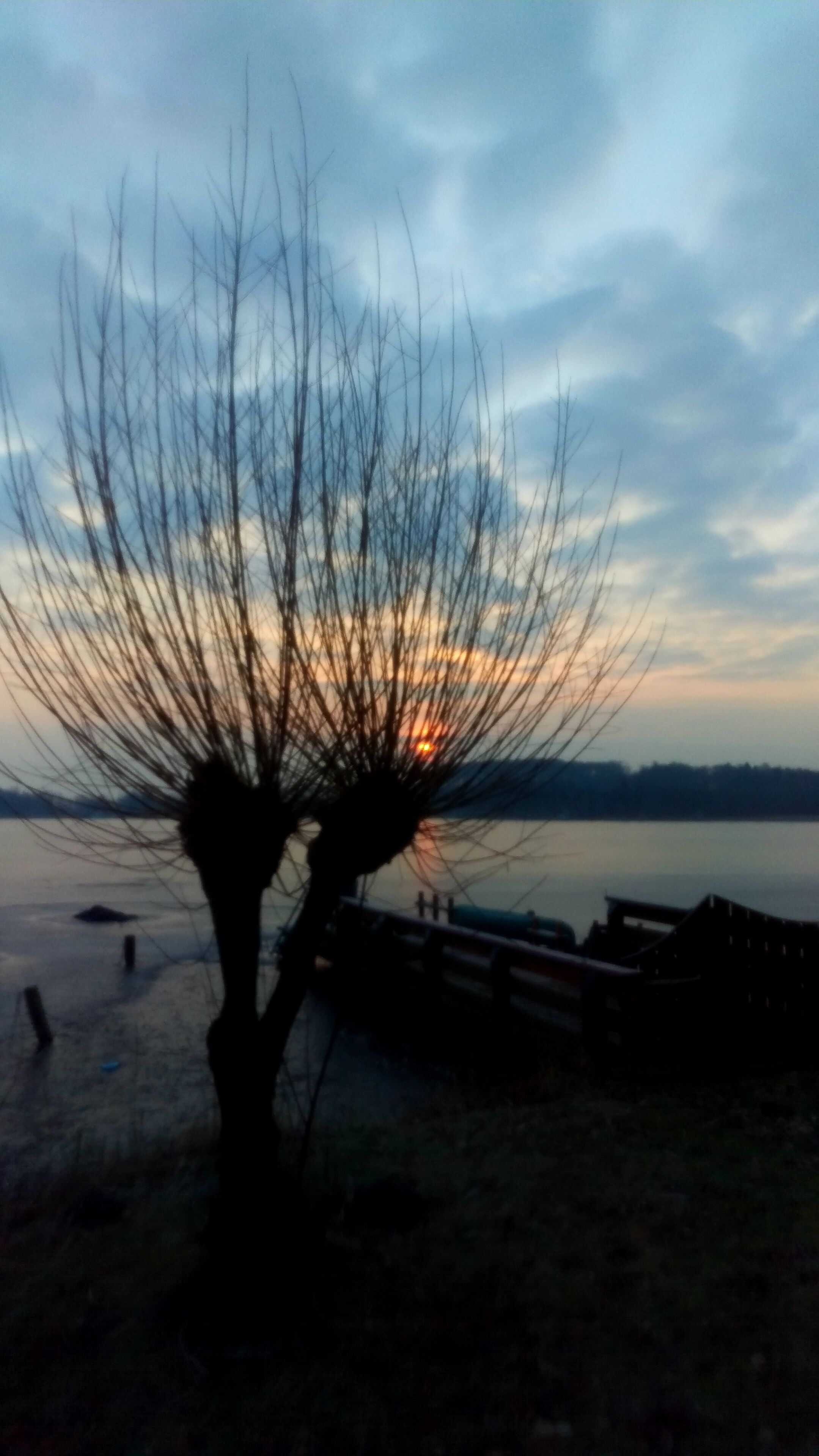 Ein Baum mit kahlen Ästen vor einem Sonnenuntergang, ein ruhiger See und ein Steg, der sich ins Wasser erstreckt.