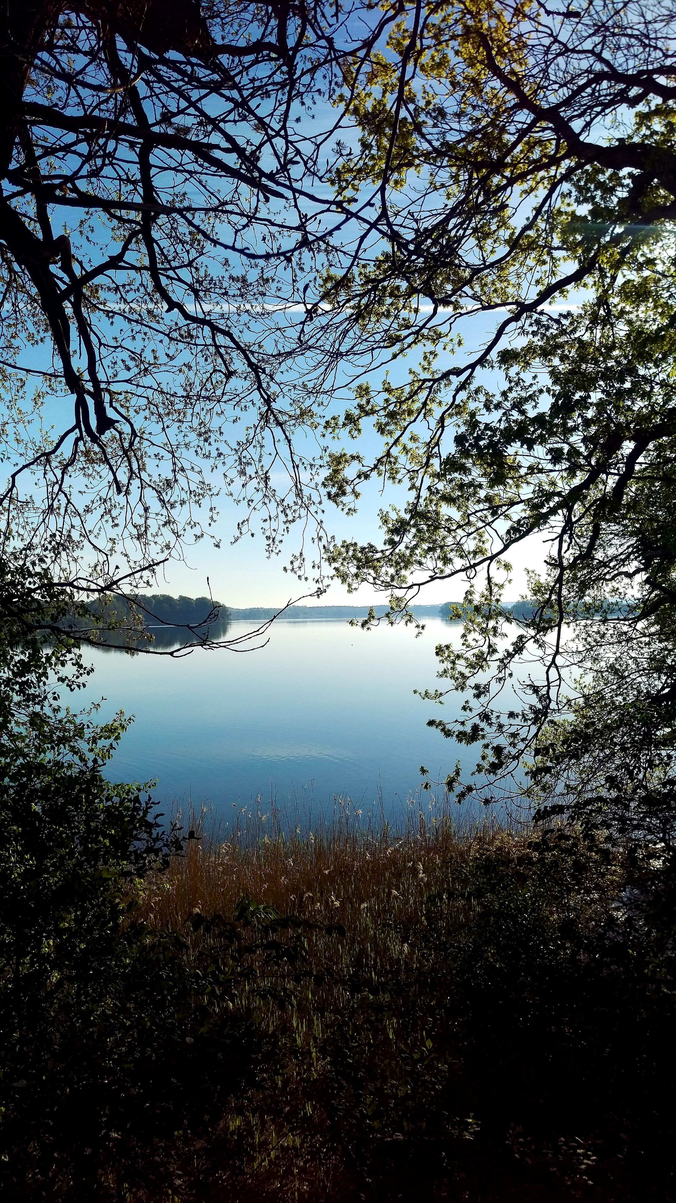 Tyyni järvi, jonka ympärillä on puita ja kasvillisuutta.