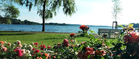 Meer