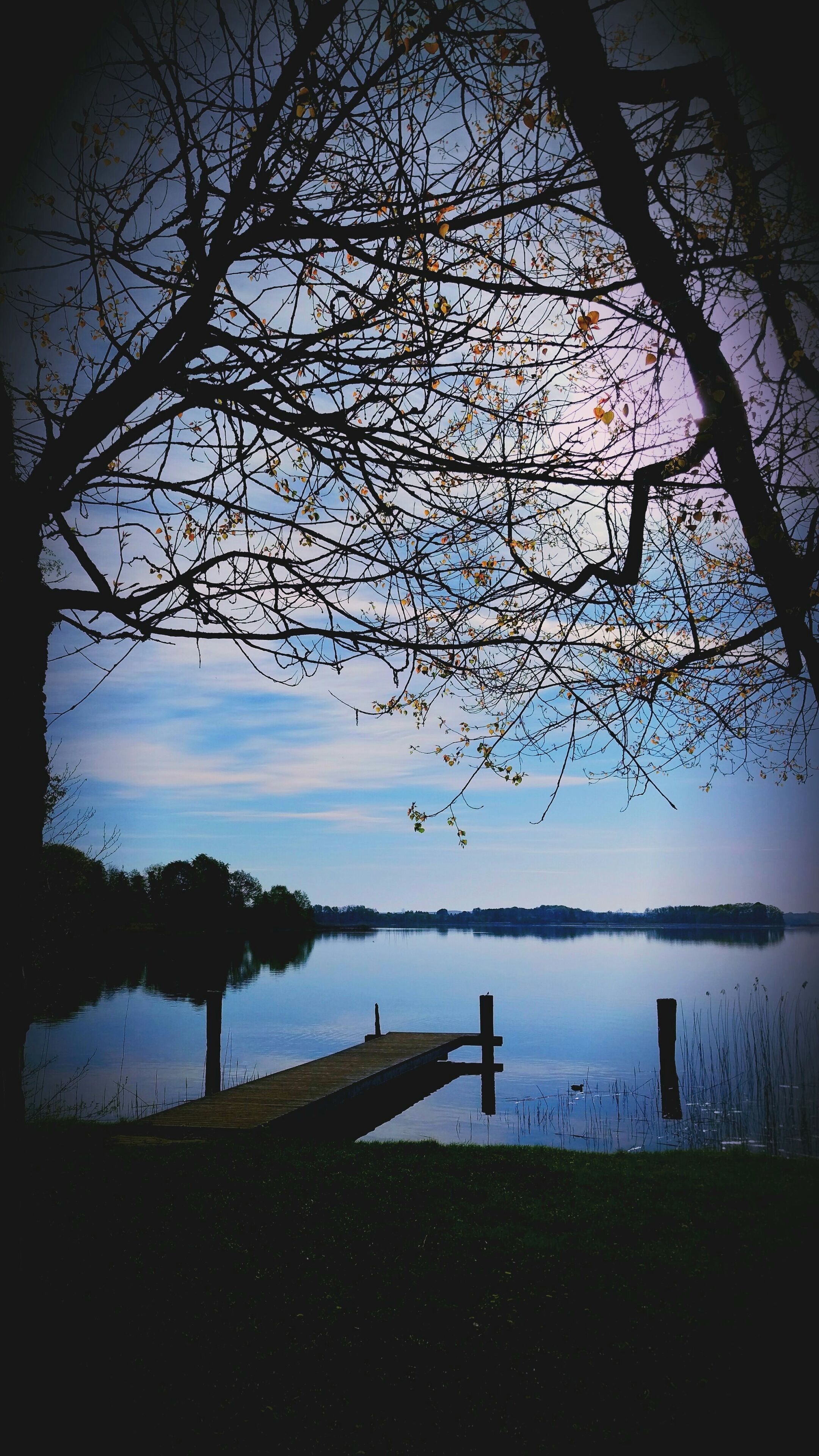 A tranquil lakeside scene with a wooden dock extending into calm waters, surrounded by trees and a clear sky.