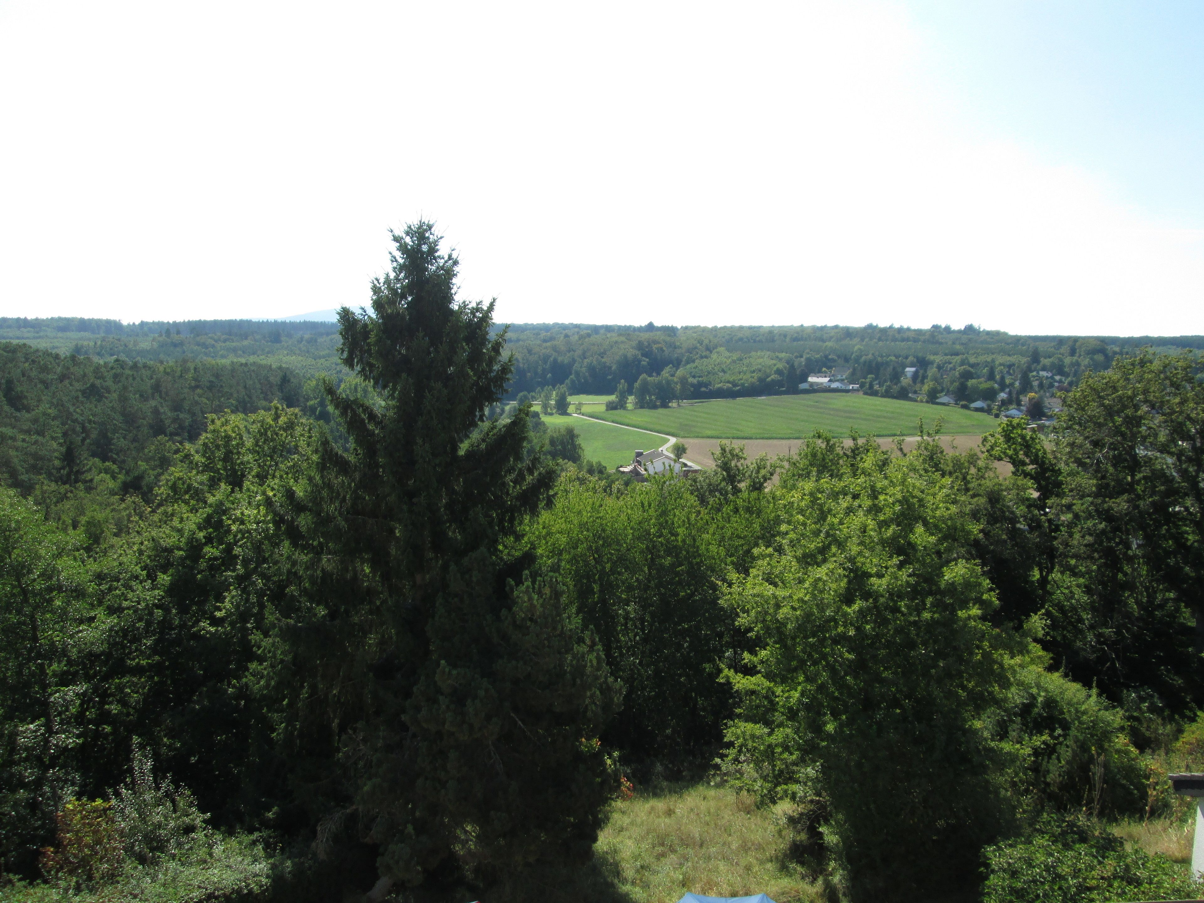 double room, 1 bedroom, garden view | view from room