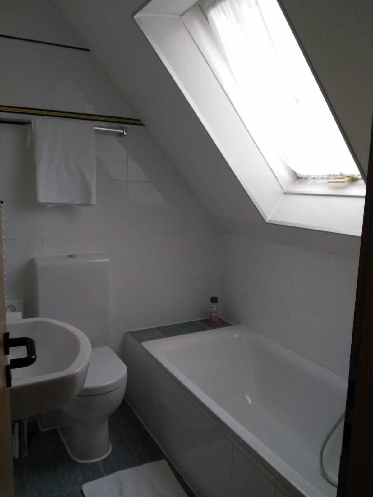 A small, modern bathroom with a skylight, a toilet, and a bathtub.