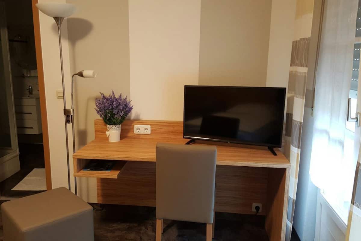A compact room with a wooden desk, a flat-screen TV, a small potted plant, and a chair.