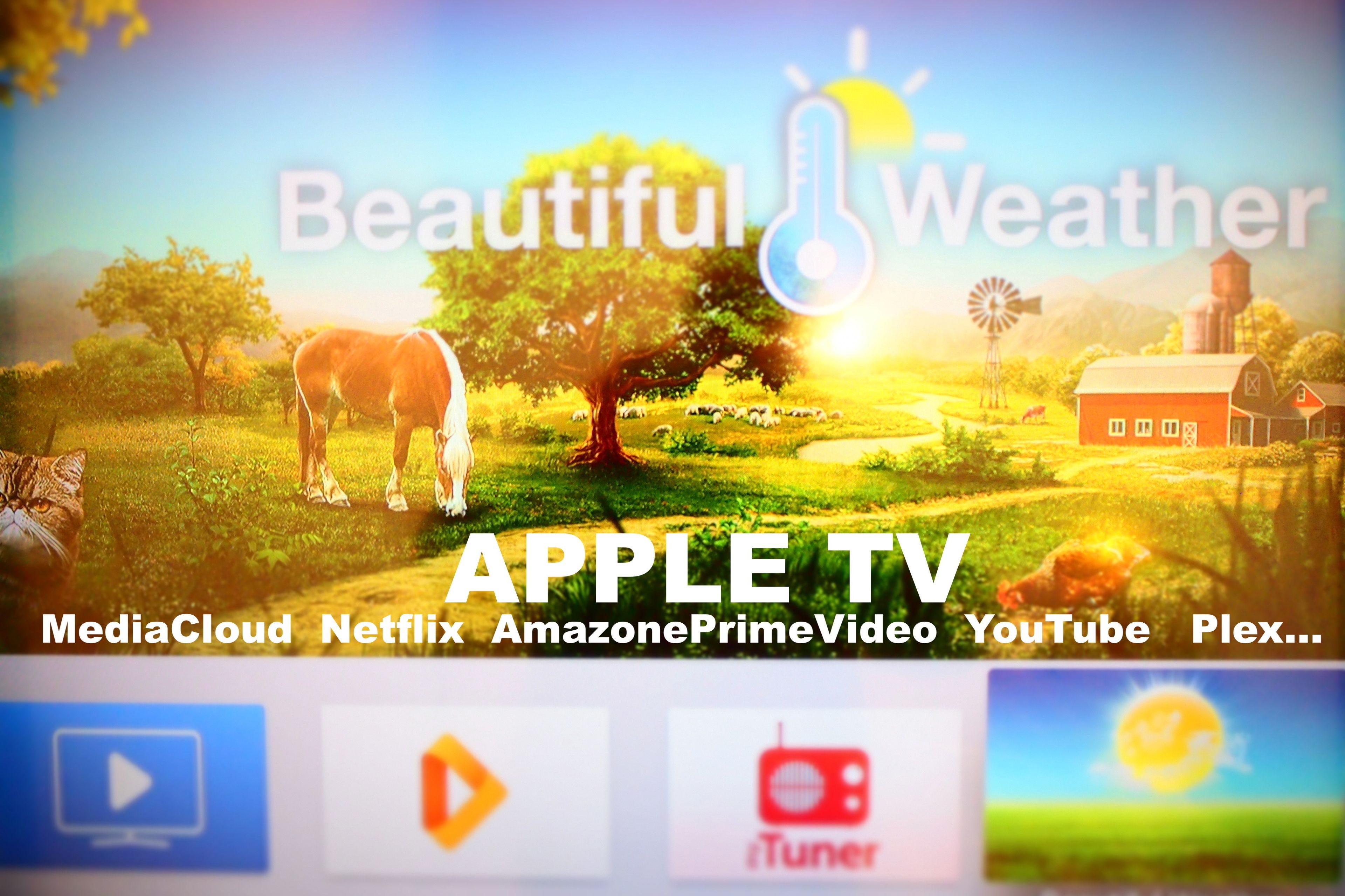 Foto - Privat Hotel Liberty Sitges