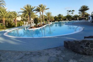 Una piscina gran i corbada envoltada de palmeres i gandules.
