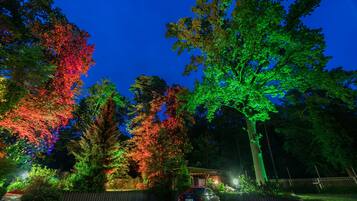 A nighttime scene with a car parked in a driveway, surrounded by trees illuminated with red and green lights.
