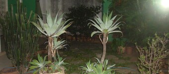 ClubeHostel São Francisco