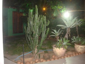 Jardin