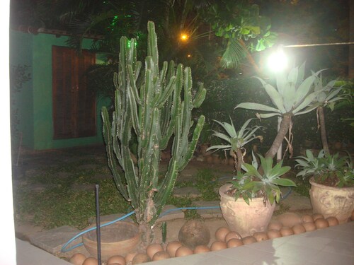 ClubeHostel São Francisco