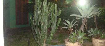 ClubeHostel São Francisco