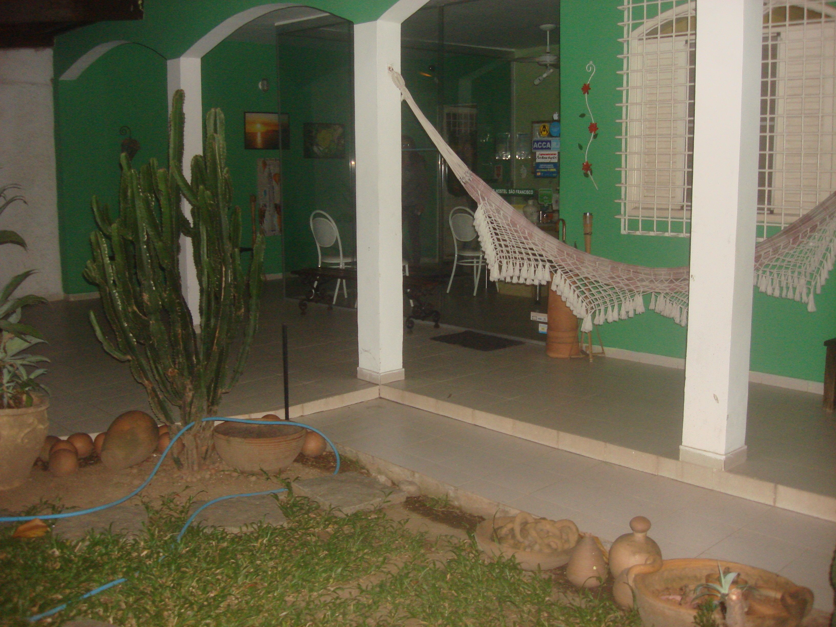 Una habitación con pared verde, una hamaca, un cactus y un pequeño jardín con rocas y plantas.