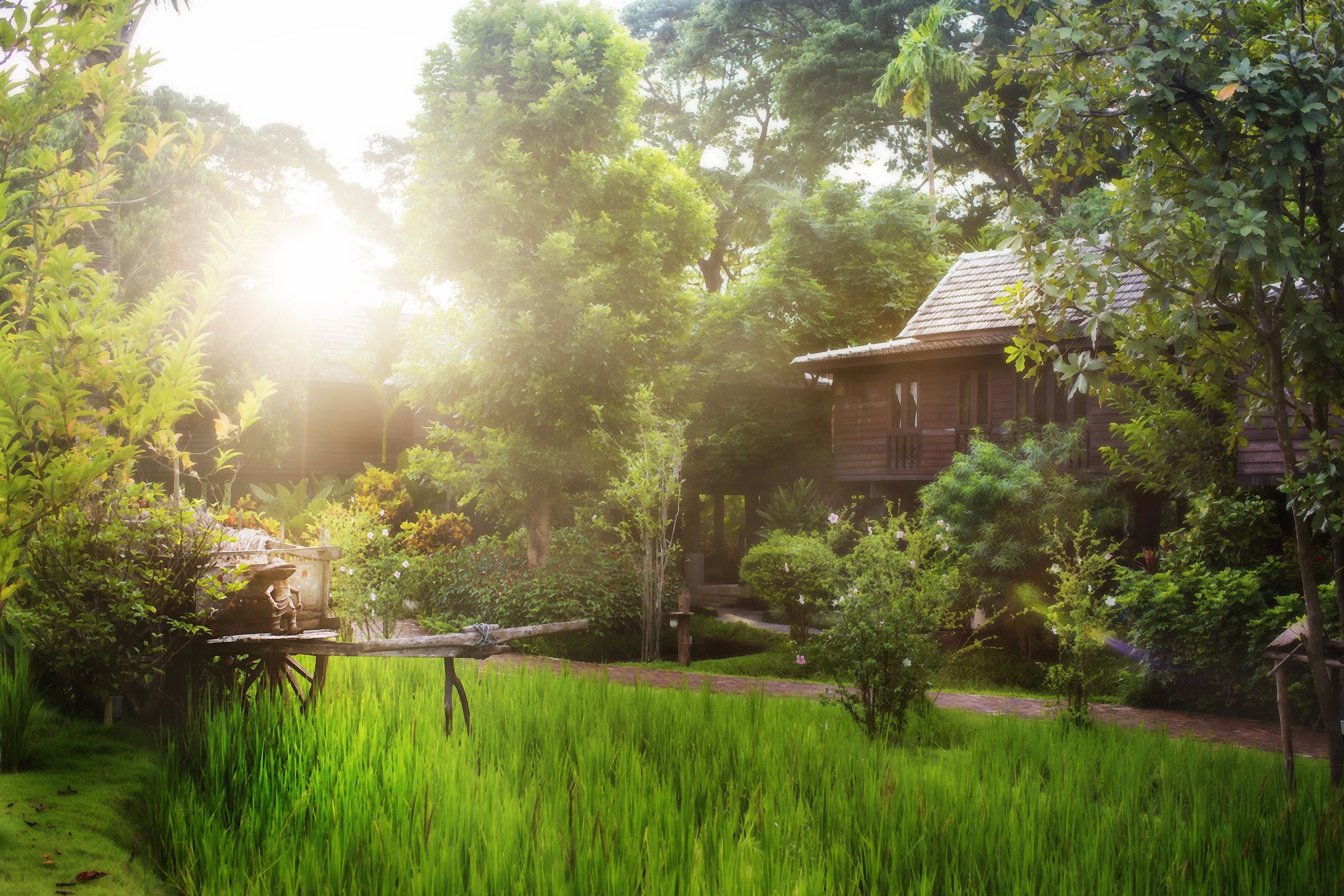 Áreas de la propiedad