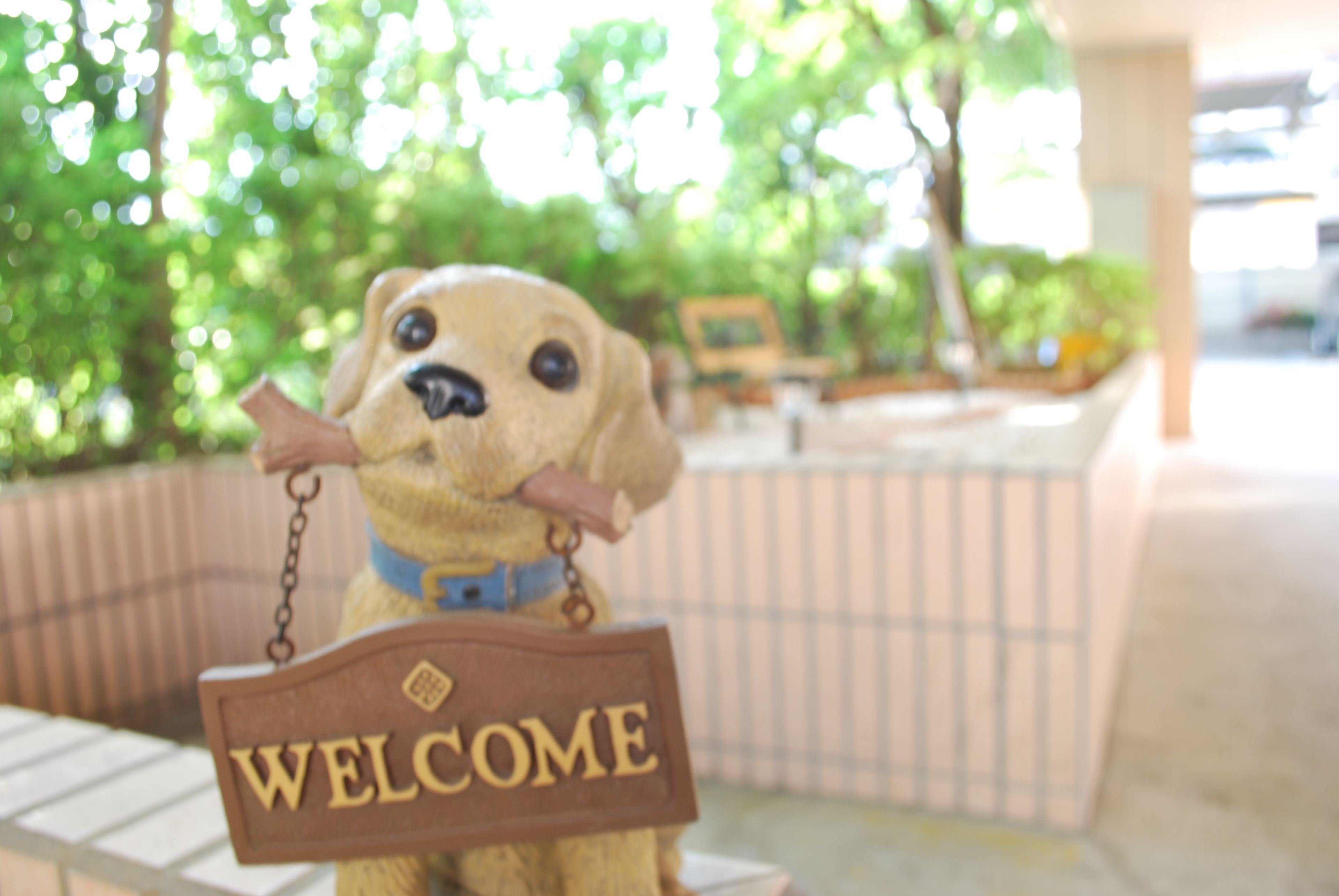 A plush dog holding a 'WELCOME' sign.