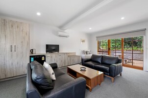 Flat-screen TV