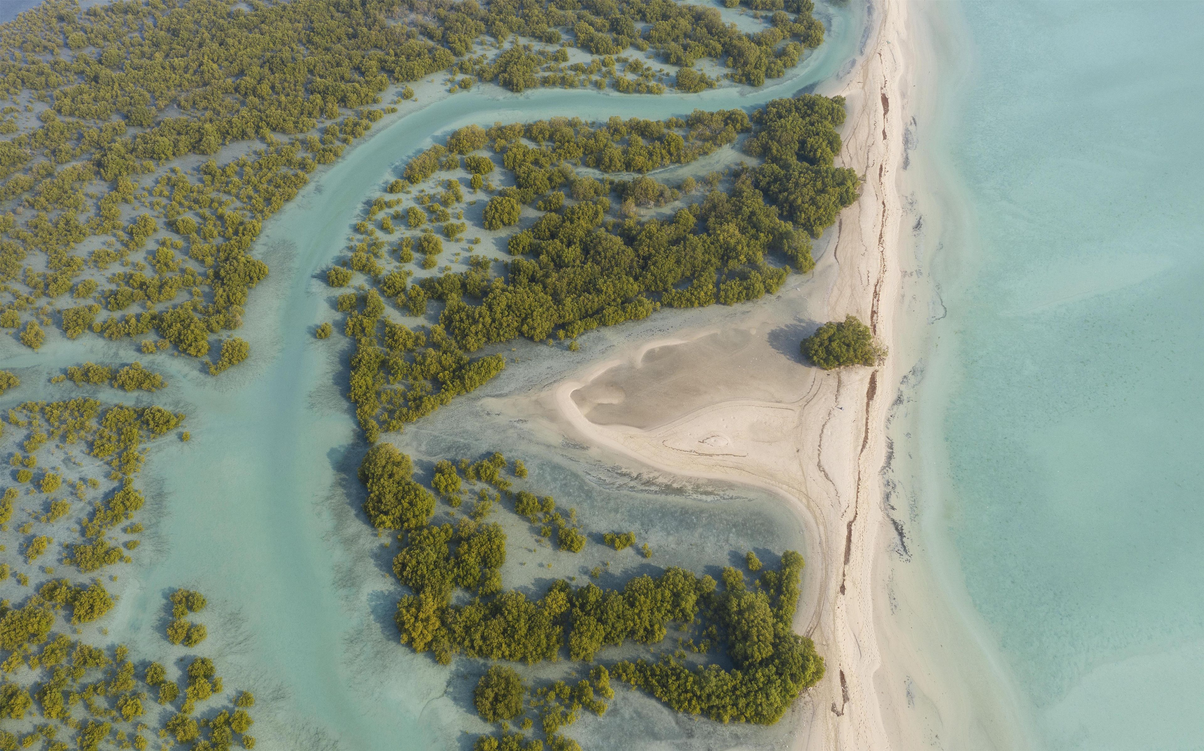 Vista aérea de una zona costera con playa arenosa, aguas turquesas cristalinas y densa vegetación verde.