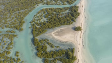 Vista aérea de una zona costera con playa arenosa, aguas turquesas cristalinas y densa vegetación verde.