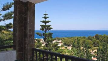 Vista del balcón