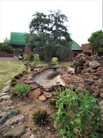 Un jardín con un pequeño estanque, rocas y diversas plantas.