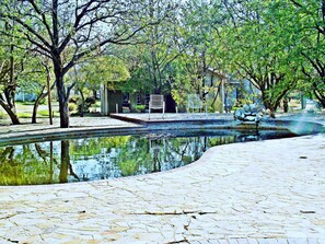 Outdoor pool, a waterfall pool