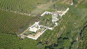 Unclassified image, 3 of 13, button - Cuore di Palme (Floridia)
