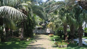 Unclassified image, 4 of 13, button - Cuore di Palme (Floridia)