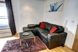 평면 TV, DVD 플레이어